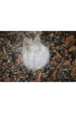 Maison Leon Van den Bogaert Antique Verdun Marble Slab - 165 cm by 100 cm - Thickness 2 cm