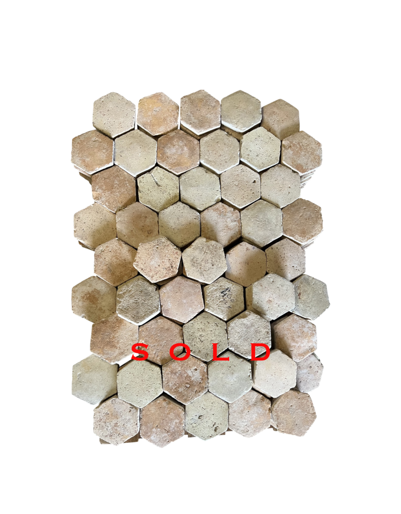 Antique French  Hexagonal Terra Cotta Tiles