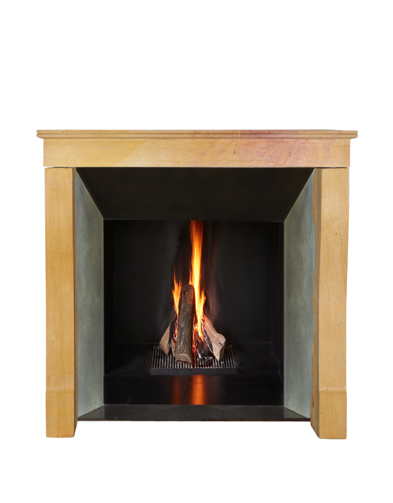 Maison Leon Van den Bogaert Chimenea Original Francesa Luis Felipe Del Siglo XIX En Piedra Caliza De Corton Bicolor – Borgoña