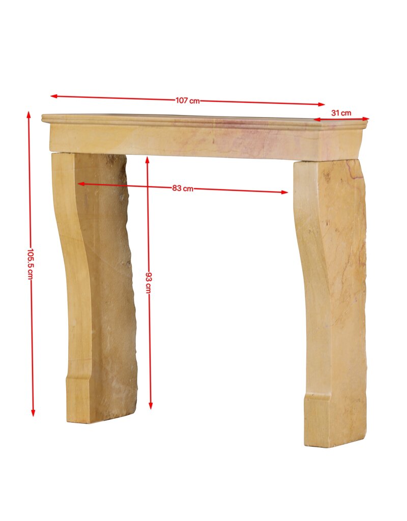 Maison Leon Van den Bogaert Chimenea Original Francesa Luis Felipe Del Siglo XIX En Piedra Caliza De Corton Bicolor – Borgoña