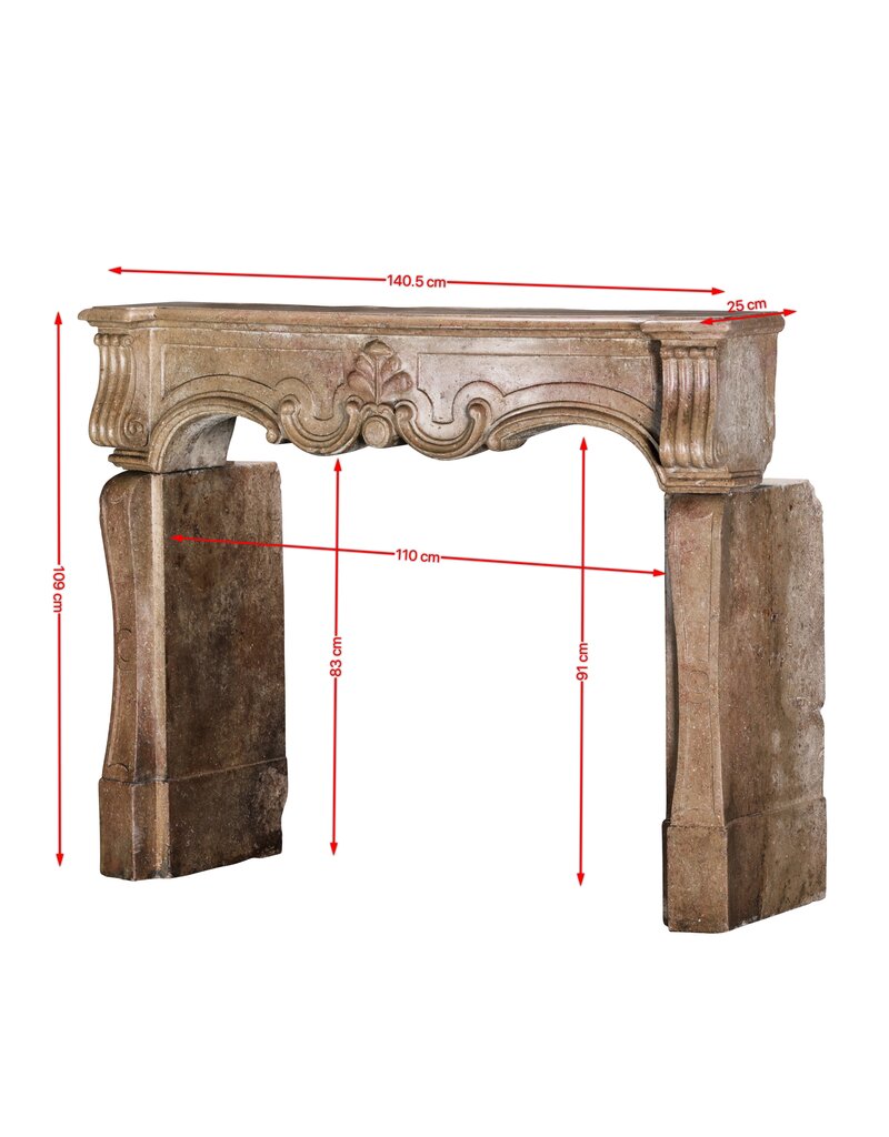 Maison Leon Van den Bogaert Außergewöhnlicher Italienischer Barock-Kaminkörper aus französischem Burgunderstein, 17. Jahrhundert, mit handgeschnitzten Details