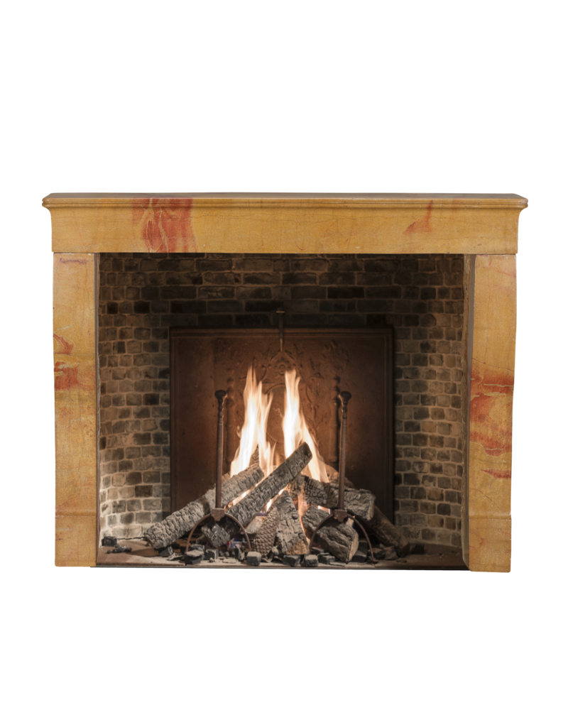 Maison Leon Van den Bogaert Cheminée Bicolore Originale - Beauté Naturelle Et Patine Intemporelle