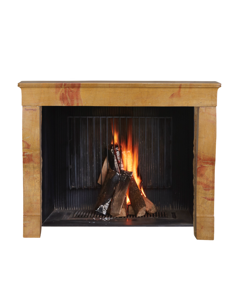 Maison Leon Van den Bogaert Cheminée Bicolore Originale - Beauté Naturelle Et Patine Intemporelle