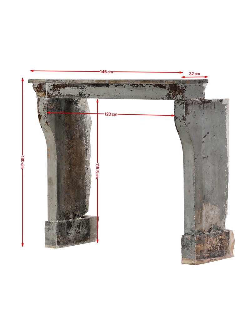 Maison Leon Van den Bogaert 19th Century Louis XIII Limestone Fireplace | Original Patina | The Antique Fireplace Bank