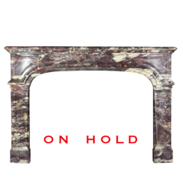 Grand Epoque French Chique Antique Fireplace Surround