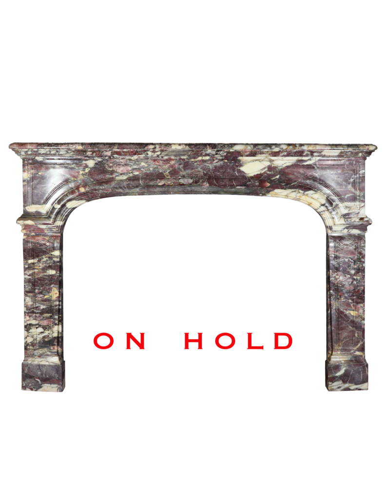 Grand Epoque French Chique Antique Fireplace Surround