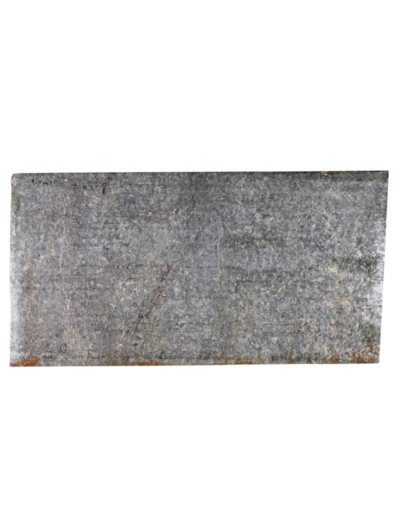 Maison Leon Van den Bogaert Exclusieve Antieke Fossielmarmer Plaat (235 × 115 cm) met Grijs, Roze en Gouden Aders – Luxe Tafelblad of Wanddecoratie