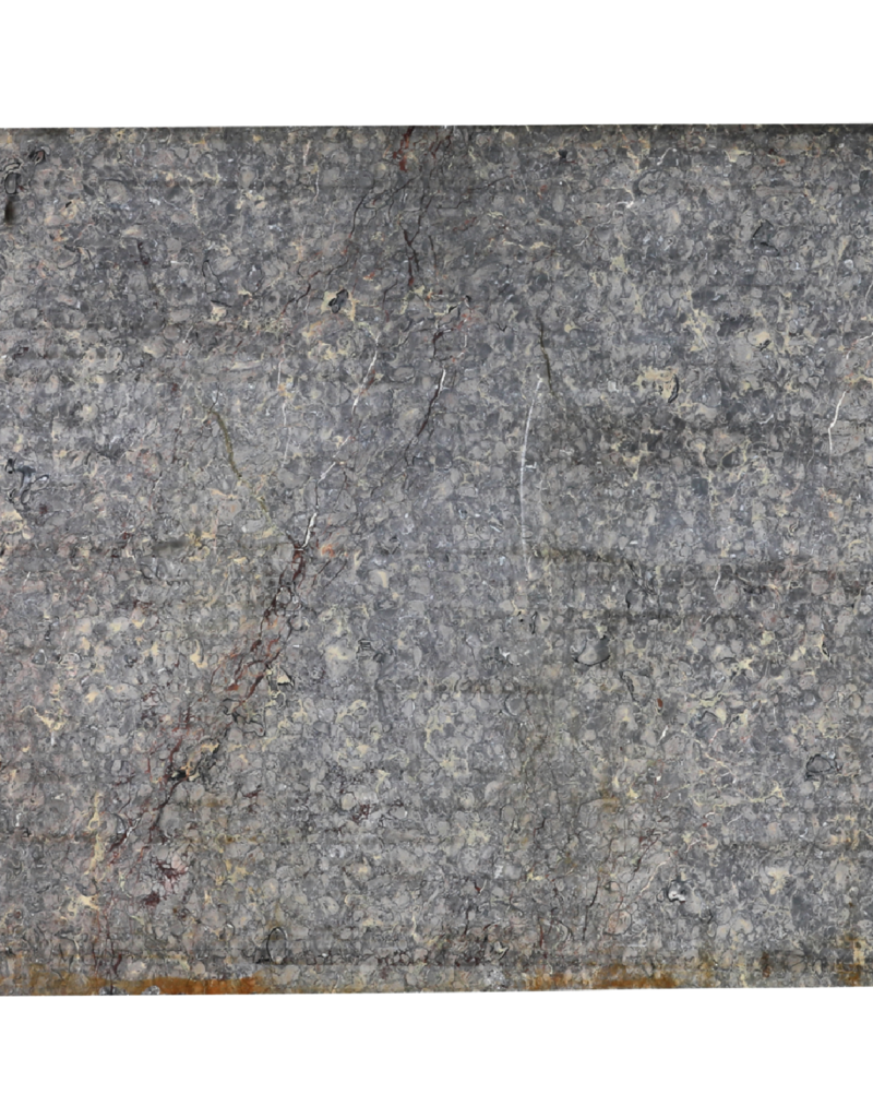 Maison Leon Van den Bogaert Exklusive Antike Fossilmarmorplatte (235 × 115 cm) mit Grau, Rosa und Goldadern – Luxuriöse Tischplatte oder Wanddekoration