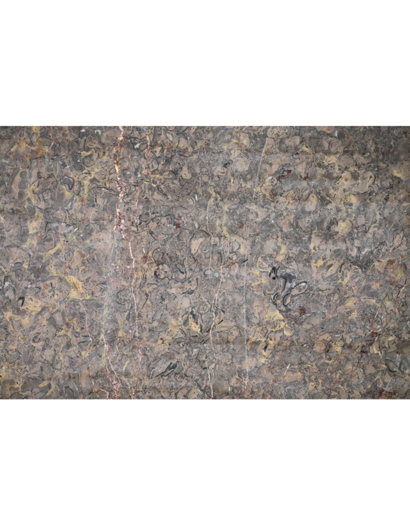 Maison Leon Van den Bogaert Exclusieve Antieke Fossielmarmer Plaat (235 × 115 cm) met Grijs, Roze en Gouden Aders – Luxe Tafelblad of Wanddecoratie