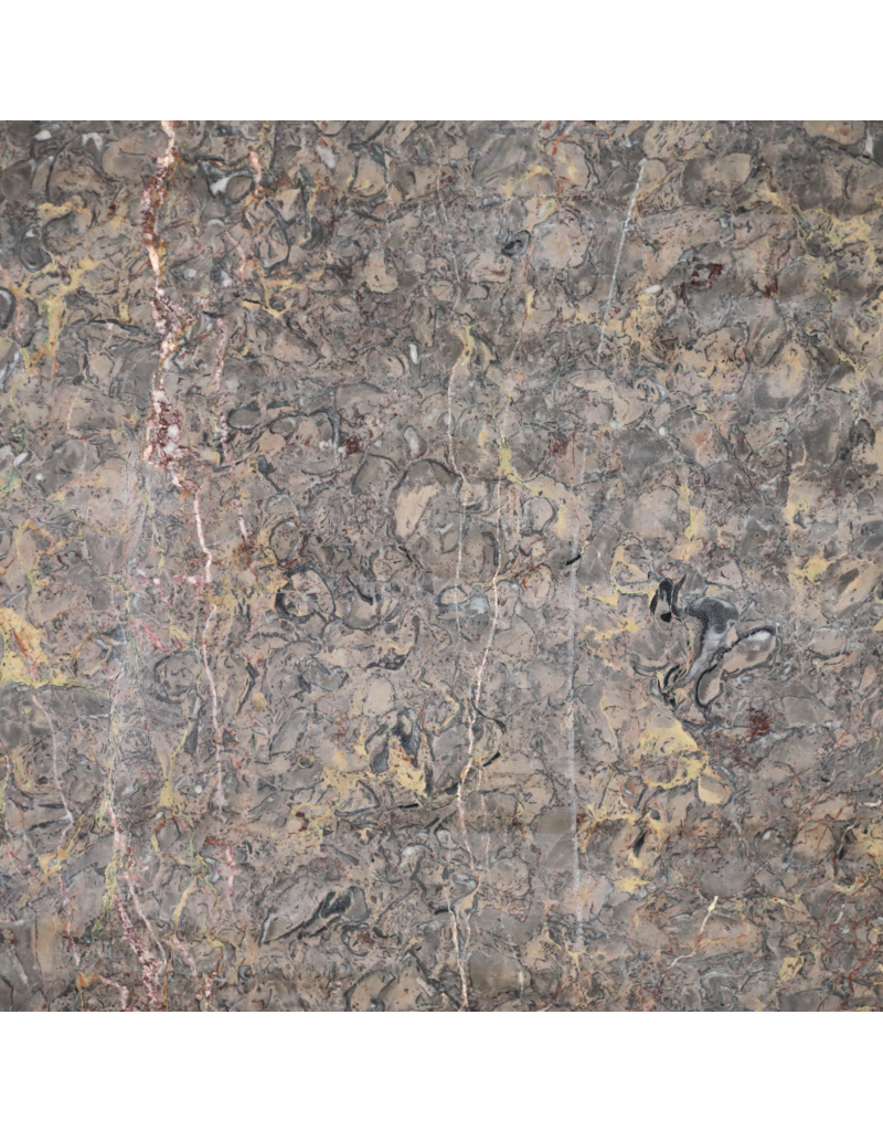 Maison Leon Van den Bogaert Exklusive Antike Fossilmarmorplatte (235 × 115 cm) mit Grau, Rosa und Goldadern – Luxuriöse Tischplatte oder Wanddekoration