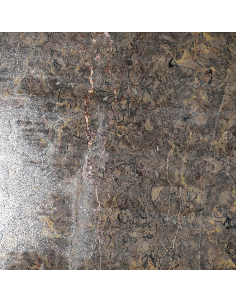 Maison Leon Van den Bogaert Exklusive Antike Fossilmarmorplatte (235 × 115 cm) mit Grau, Rosa und Goldadern – Luxuriöse Tischplatte oder Wanddekoration