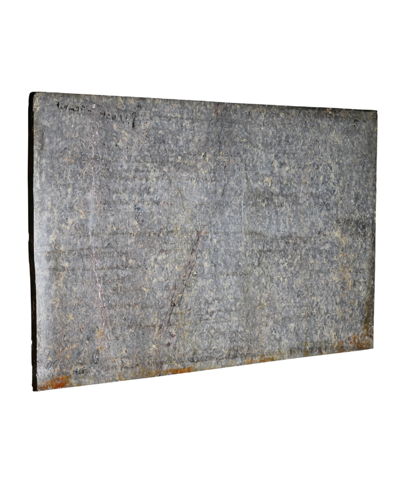 Maison Leon Van den Bogaert Exklusive Antike Fossilmarmorplatte (235 × 115 cm) mit Grau, Rosa und Goldadern – Luxuriöse Tischplatte oder Wanddekoration