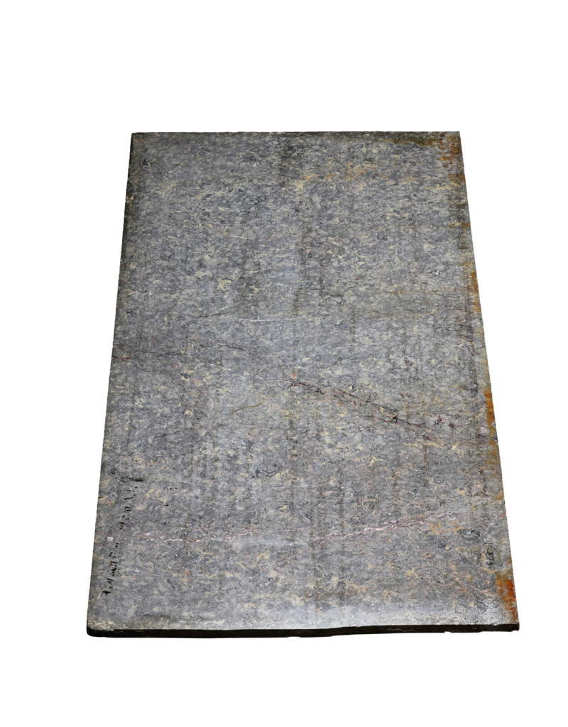 Maison Leon Van den Bogaert Exclusive Antique Fossil Marble Slab (235 × 115 cm) with Grey, Pink and Golden Veins – Luxury Tabletop or Wall Decoration