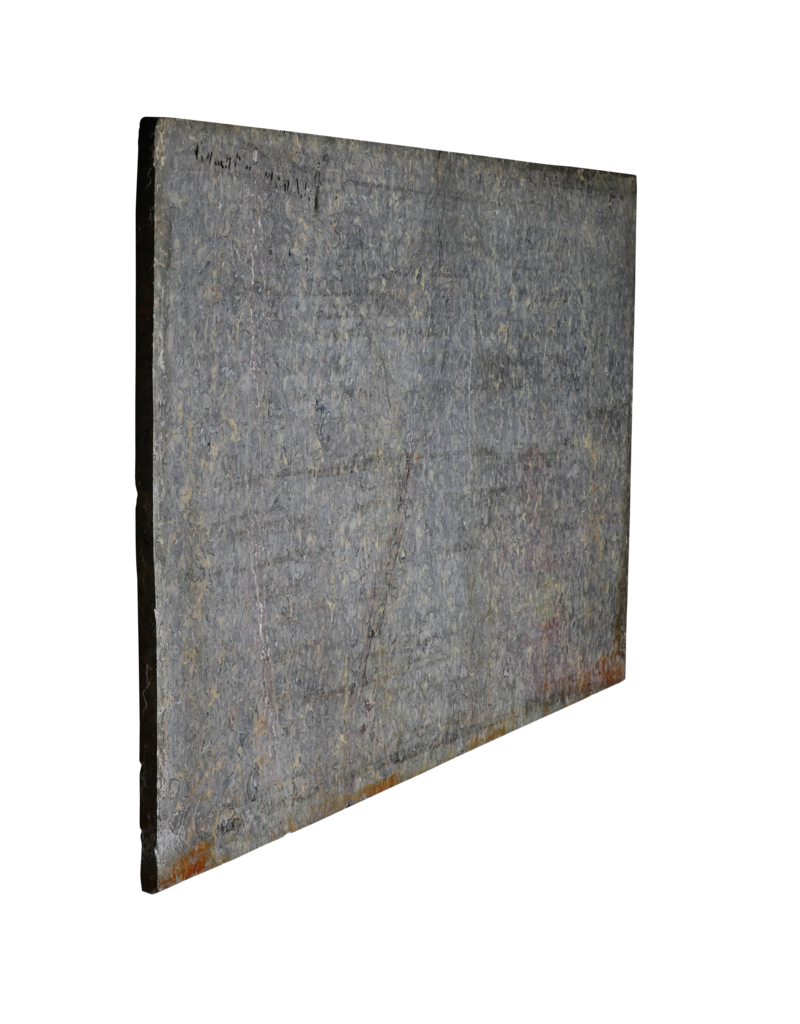 Maison Leon Van den Bogaert Exclusieve Antieke Fossielmarmer Plaat (235 × 115 cm) met Grijs, Roze en Gouden Aders – Luxe Tafelblad of Wanddecoratie