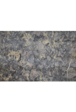 Maison Leon Van den Bogaert Exclusive Antique Fossil Marble Slab (235 × 115 cm) with Grey, Pink and Golden Veins – Luxury Tabletop or Wall Decoration