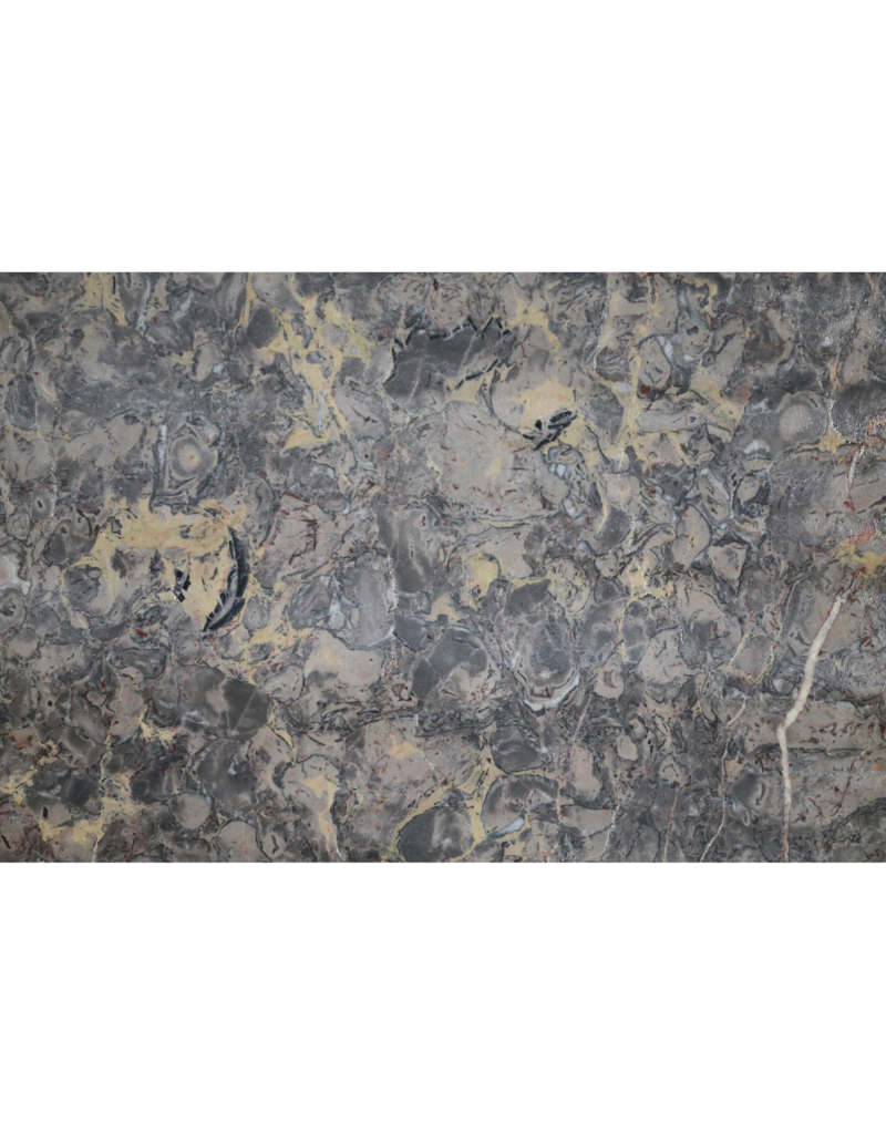 Maison Leon Van den Bogaert Exklusive Antike Fossilmarmorplatte (235 × 115 cm) mit Grau, Rosa und Goldadern – Luxuriöse Tischplatte oder Wanddekoration