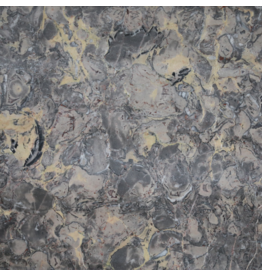 Maison Leon Van den Bogaert Antike Fossilmarmorplatte mit Grau, Rosa und Goldadern