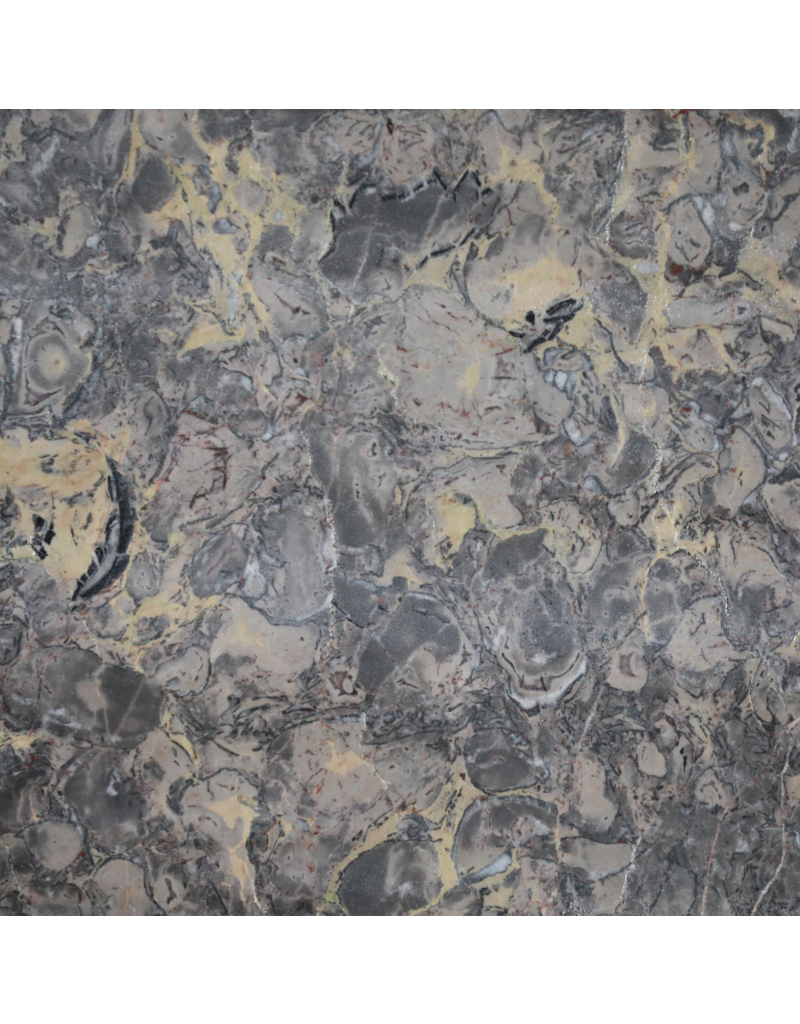 Maison Leon Van den Bogaert Exklusive Antike Fossilmarmorplatte (235 × 115 cm) mit Grau, Rosa und Goldadern – Luxuriöse Tischplatte oder Wanddekoration