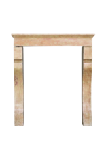 19Th Century French Fireplace Surround