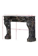 Maison Leon Van den Bogaert Exceptional 19th Century Portor Marble Fireplace Mantel with Sculpted Lion Paws — Luxurious French Original for Modern, Contemporary, or Classical Interiors