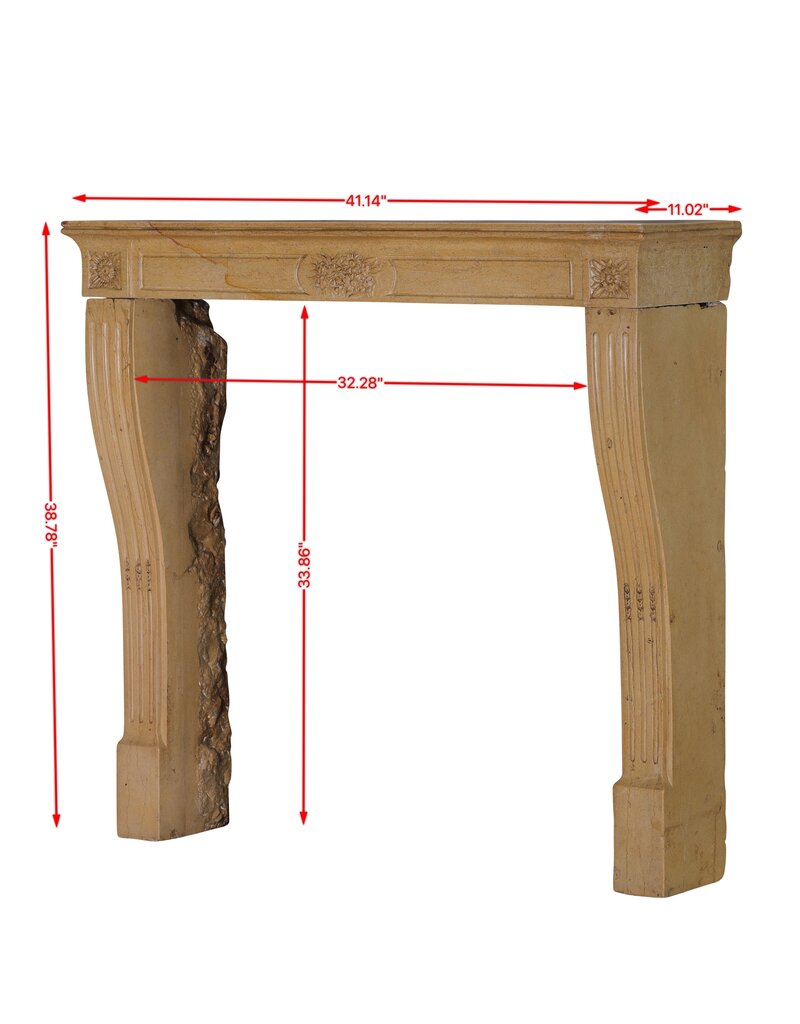 Maison Leon Van den Bogaert Authentic 19th Century French Romantic Fireplace in Burgundy Hard Stone | Hand-Carved Limestone Mantel with Floral Ornamentation