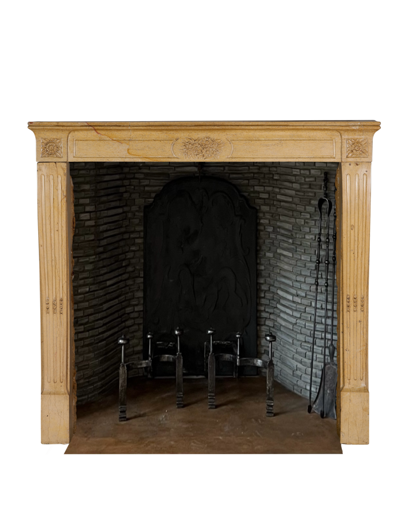 Maison Leon Van den Bogaert Authentic 19th Century French Romantic Fireplace in Burgundy Hard Stone | Hand-Carved Limestone Mantel with Floral Ornamentation