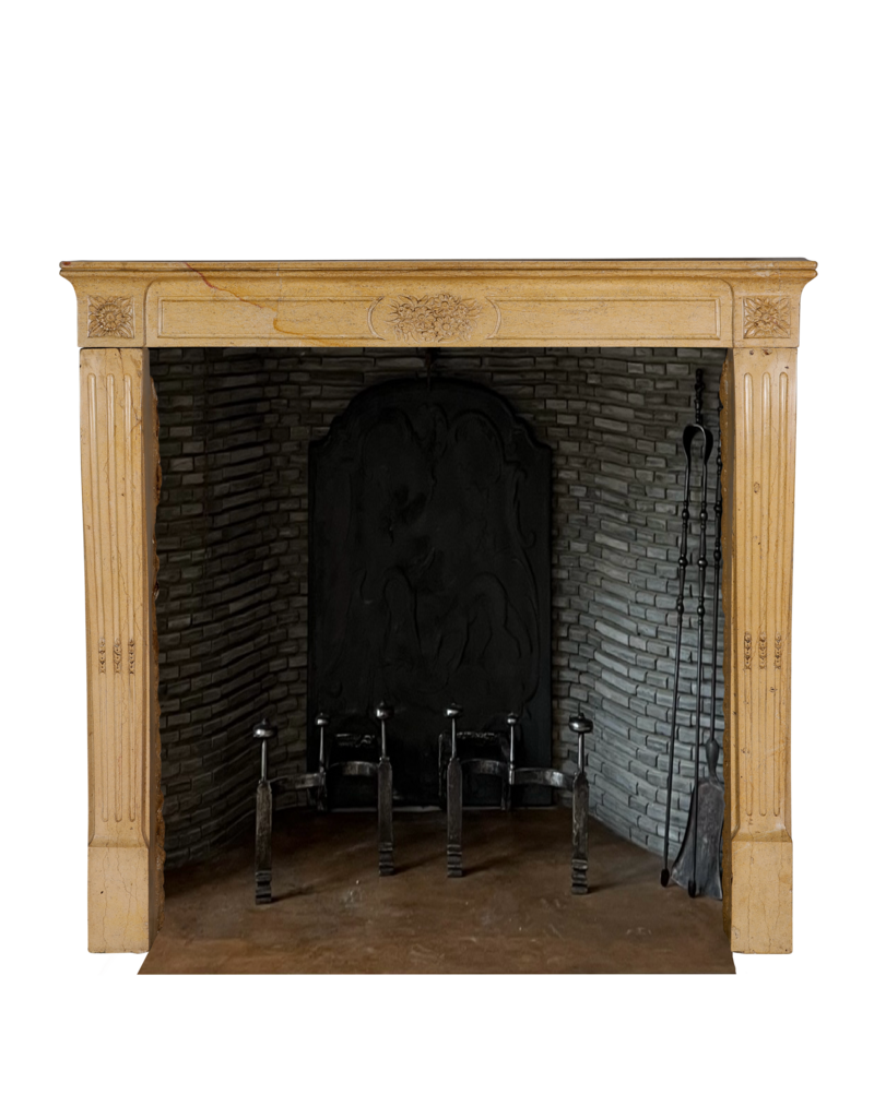 Maison Leon Van den Bogaert Authentieke 19e-eeuwse Franse schouw uit de Romantische periode in harde Bourgondische kalksteen – Handgesneden bloemendecor en elegante proporties