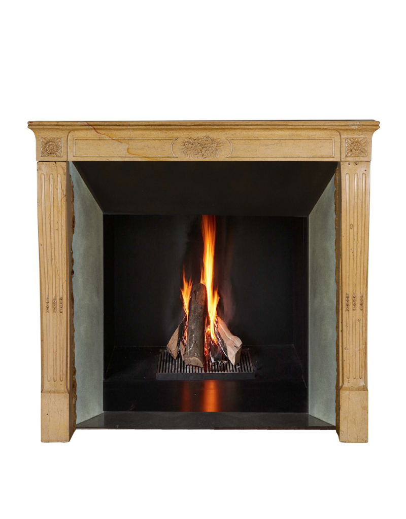 Maison Leon Van den Bogaert Authentieke 19e-eeuwse Franse schouw uit de Romantische periode in harde Bourgondische kalksteen – Handgesneden bloemendecor en elegante proporties