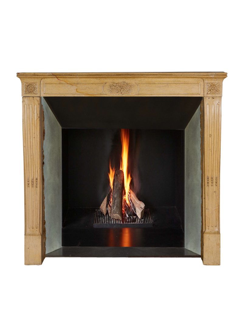 Maison Leon Van den Bogaert Authentischer französischer Kamin aus der Romantik des 19. Jahrhunderts in hartem Burgunder Kalkstein – Handgeschnitzte florale Verzierungen und elegante Proportionen