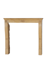 Maison Leon Van den Bogaert Authentieke 19e-eeuwse Franse schouw uit de Romantische periode in harde Bourgondische kalksteen – Handgesneden bloemendecor en elegante proporties