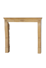 Maison Leon Van den Bogaert Authentischer französischer Kamin aus der Romantik des 19. Jahrhunderts in hartem Burgunder Kalkstein – Handgeschnitzte florale Verzierungen und elegante Proportionen