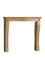 Maison Leon Van den Bogaert Authentieke 19e-eeuwse Franse schouw uit de Romantische periode in harde Bourgondische kalksteen – Handgesneden bloemendecor en elegante proporties