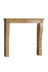 Maison Leon Van den Bogaert Authentischer französischer Kamin aus der Romantik des 19. Jahrhunderts in hartem Burgunder Kalkstein – Handgeschnitzte florale Verzierungen und elegante Proportionen