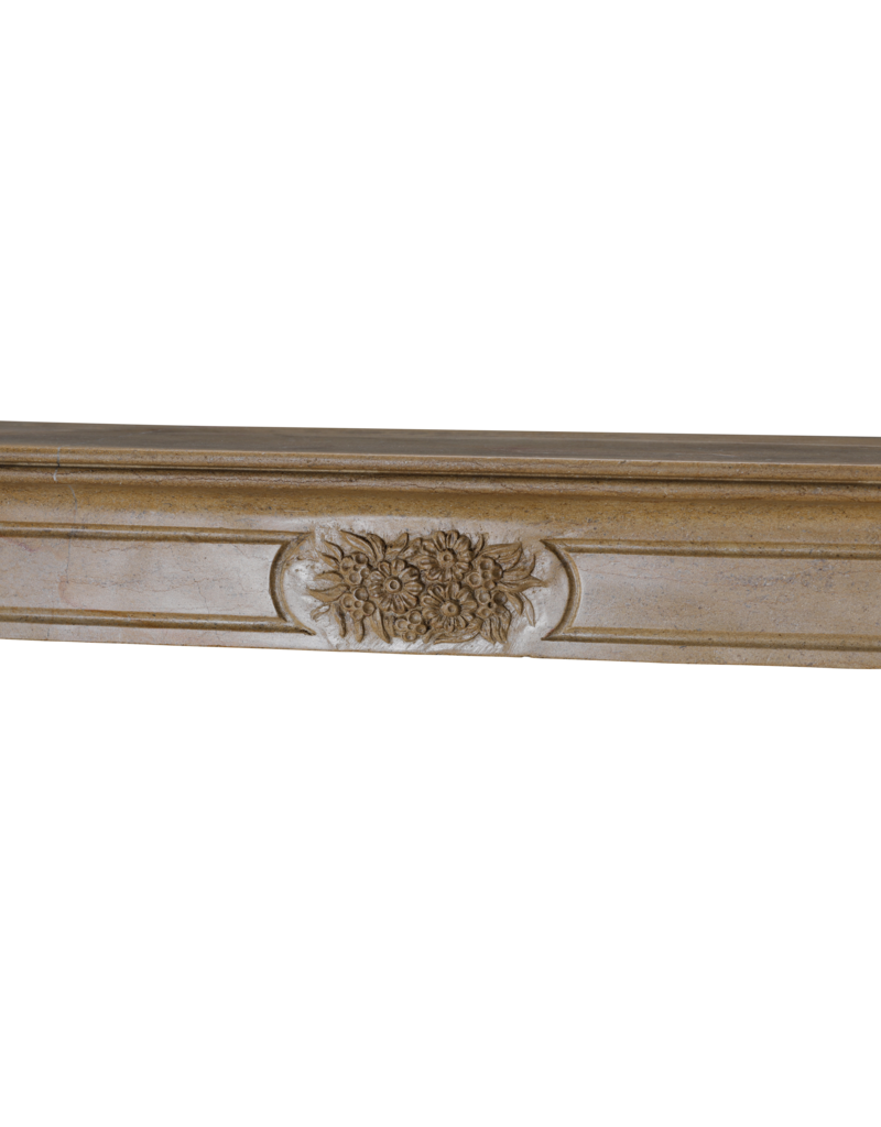 Maison Leon Van den Bogaert Authentic 19th Century French Romantic Fireplace in Burgundy Hard Stone | Hand-Carved Limestone Mantel with Floral Ornamentation