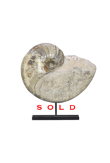Maison Leon Van den Bogaert Originales Fossil