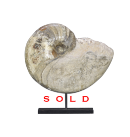 Fossile