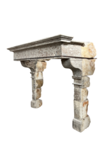 Grand 16e-Eeuwse Franse Kasteel Schouw