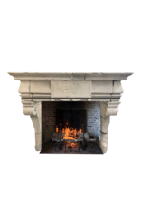 French Rustic Renaiscance Fireplace Surround