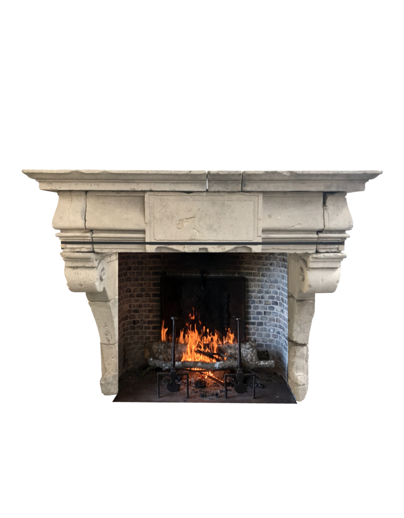 French Rustic Renaiscance Fireplace Surround