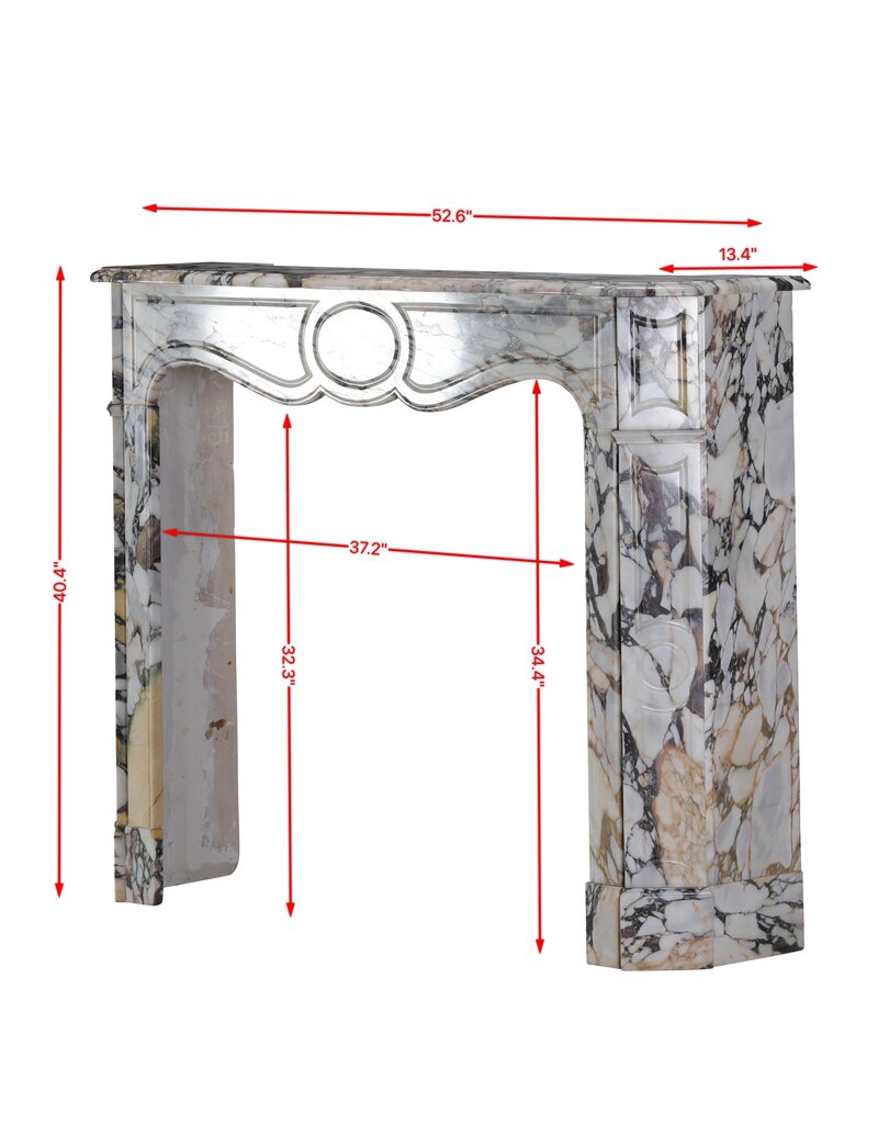 Maison Leon Van den Bogaert Parisian Antique Chimney Piece for Timeless & Modern Interiors