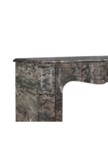 Maison Leon Van den Bogaert Parisian Pompadour Fireplace Surround in Rare French Bois Jourdan Marble