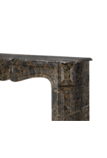 Maison Leon Van den Bogaert Chimenea Parisina Del Siglo XIX - Mármol Portor De Los Pirineos