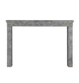 Maison Leon Van den Bogaert Chimenea Antigua de Piedra Fósil | Diseño Arquitectónico Atemporal