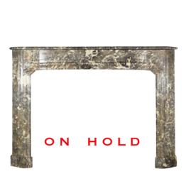 Siglo 18 Chique Belga Chimenea