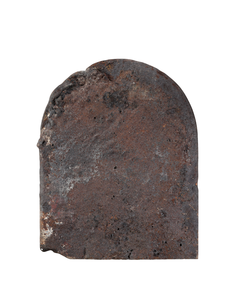 Maison Leon Van den Bogaert Authentic 16th Century Polished Cast-Iron Fireback – Noble Family Crest with Thoroughbred Horse & Stars (94 Kg) | Luxury Fireplace Backplate / Wall Decor