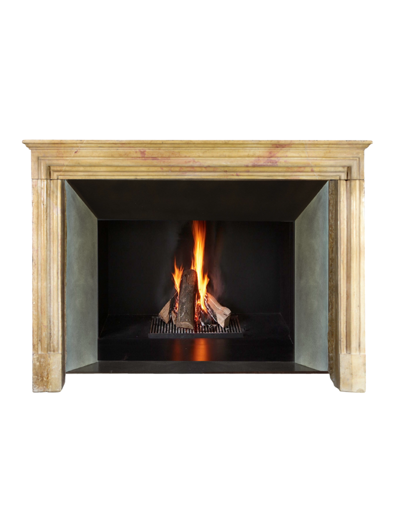 19. Jahrhundert Französisch Kamin Verkleidung