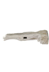 Maison Leon Van den Bogaert Exceptional 19th Century French Limestone Dragon Gargoyle – Monumental Sculptural Architectural Element for Interior, Exterior & Garden Design