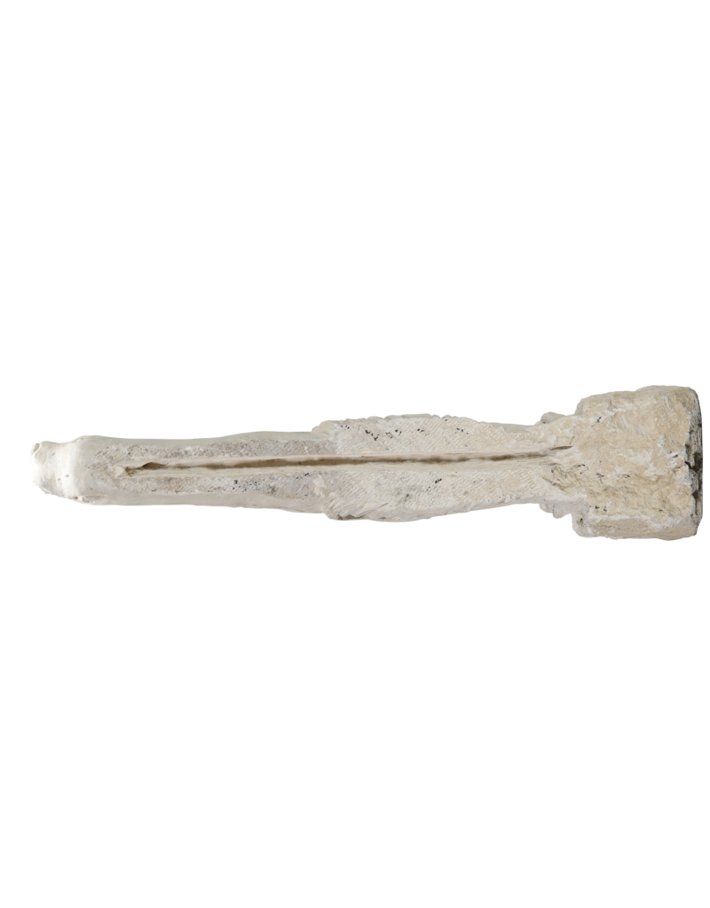 Maison Leon Van den Bogaert Exceptional 19th Century French Limestone Dragon Gargoyle – Monumental Sculptural Architectural Element for Interior, Exterior & Garden Design