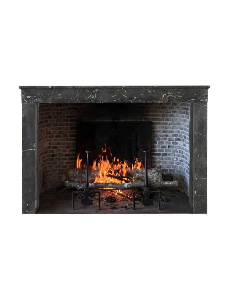 Maison Leon Van den Bogaert Henri II Fossil Stone Fireplace Mantel | Late 16th Century