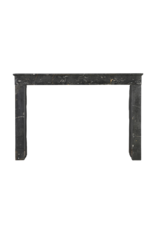 Maison Leon Van den Bogaert Chimenea auténtica en piedra fosilizada Henri II del Beaujolais con vetas doradas